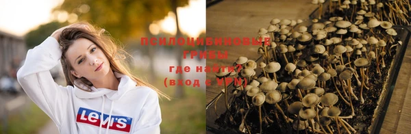 дживик Алексеевка