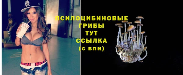 ГАЛЛЮЦИНОГЕННЫЕ ГРИБЫ Алзамай