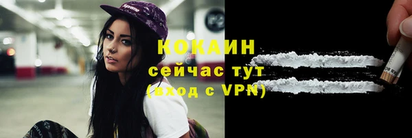 дживик Алексеевка