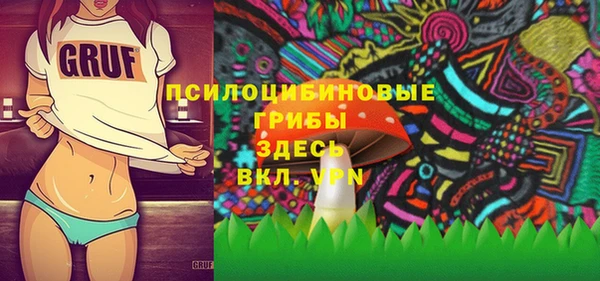 ГАЛЛЮЦИНОГЕННЫЕ ГРИБЫ Алзамай