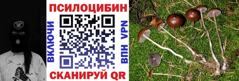 Псилоцибиновые грибы ЛСД ОМГ ОМГ как зайти Набережные Челны